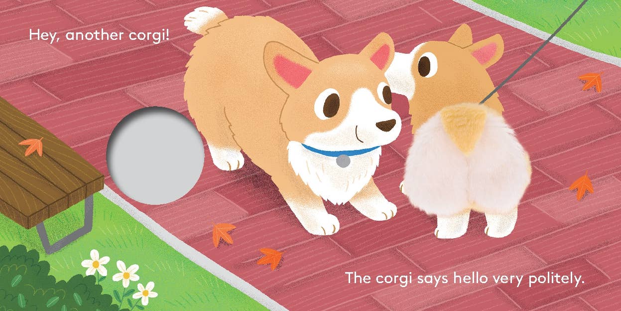 Bébé Corgi : Livre Marionnette à Doigt