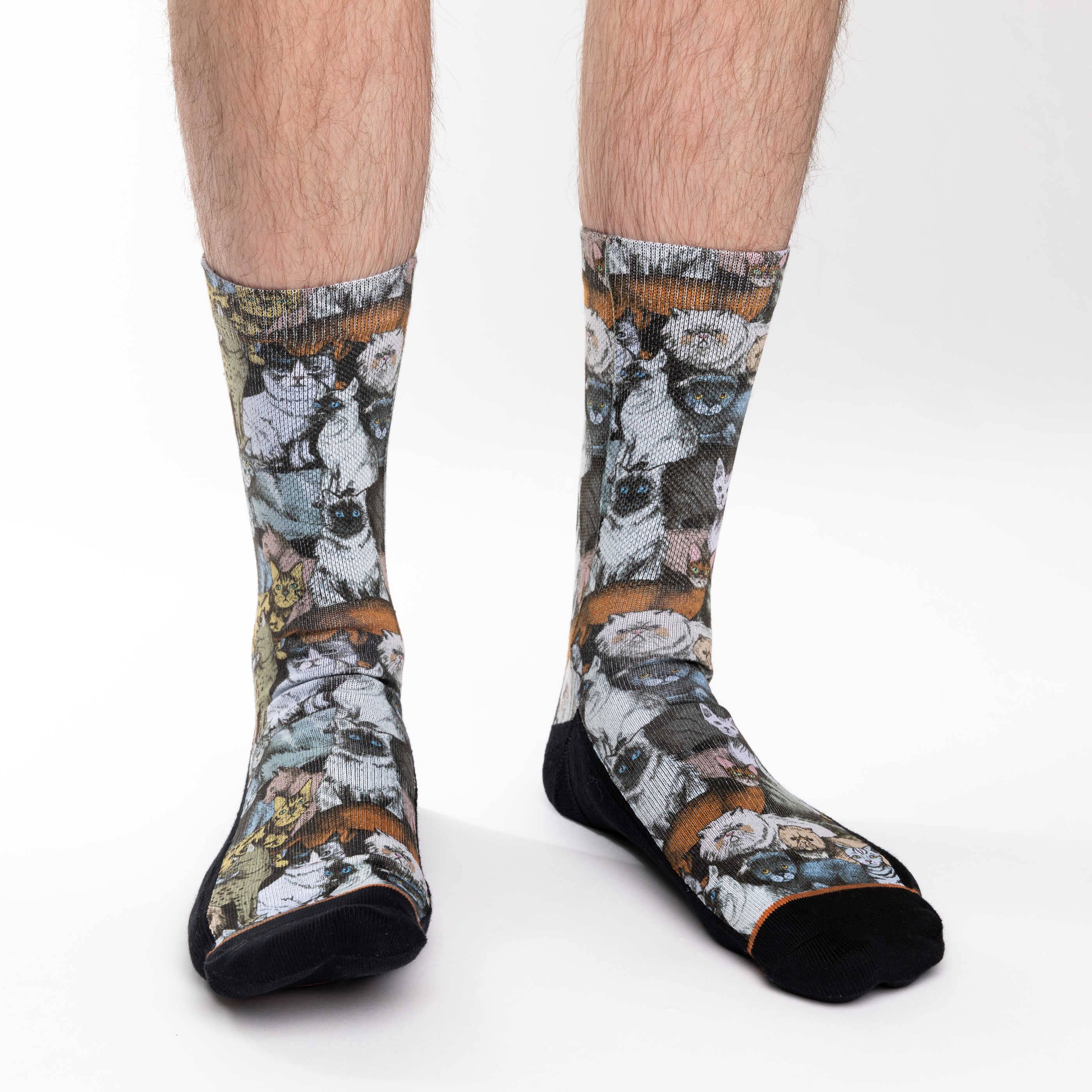 Men's Social Cats Socks