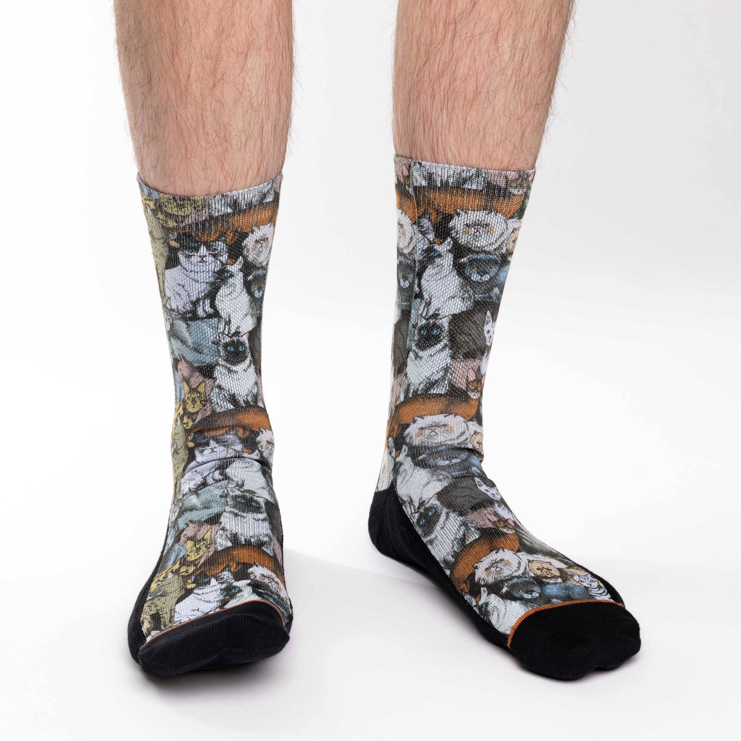 Men's Social Cats Socks
