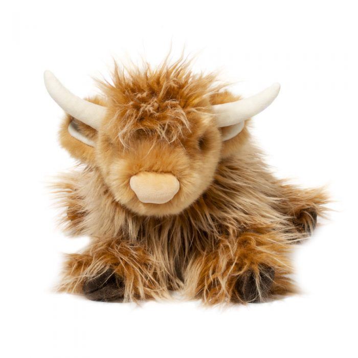 Wallace The Highland Cow