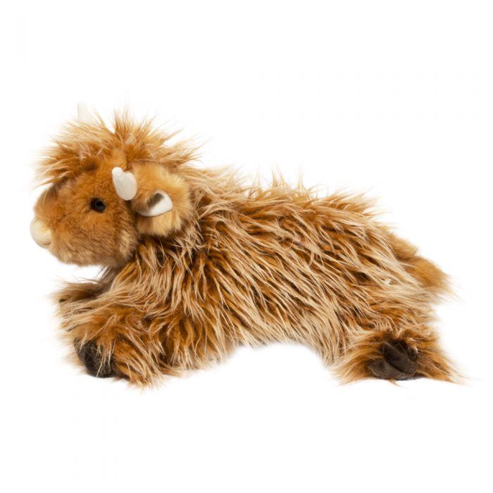 Wallace The Highland Cow