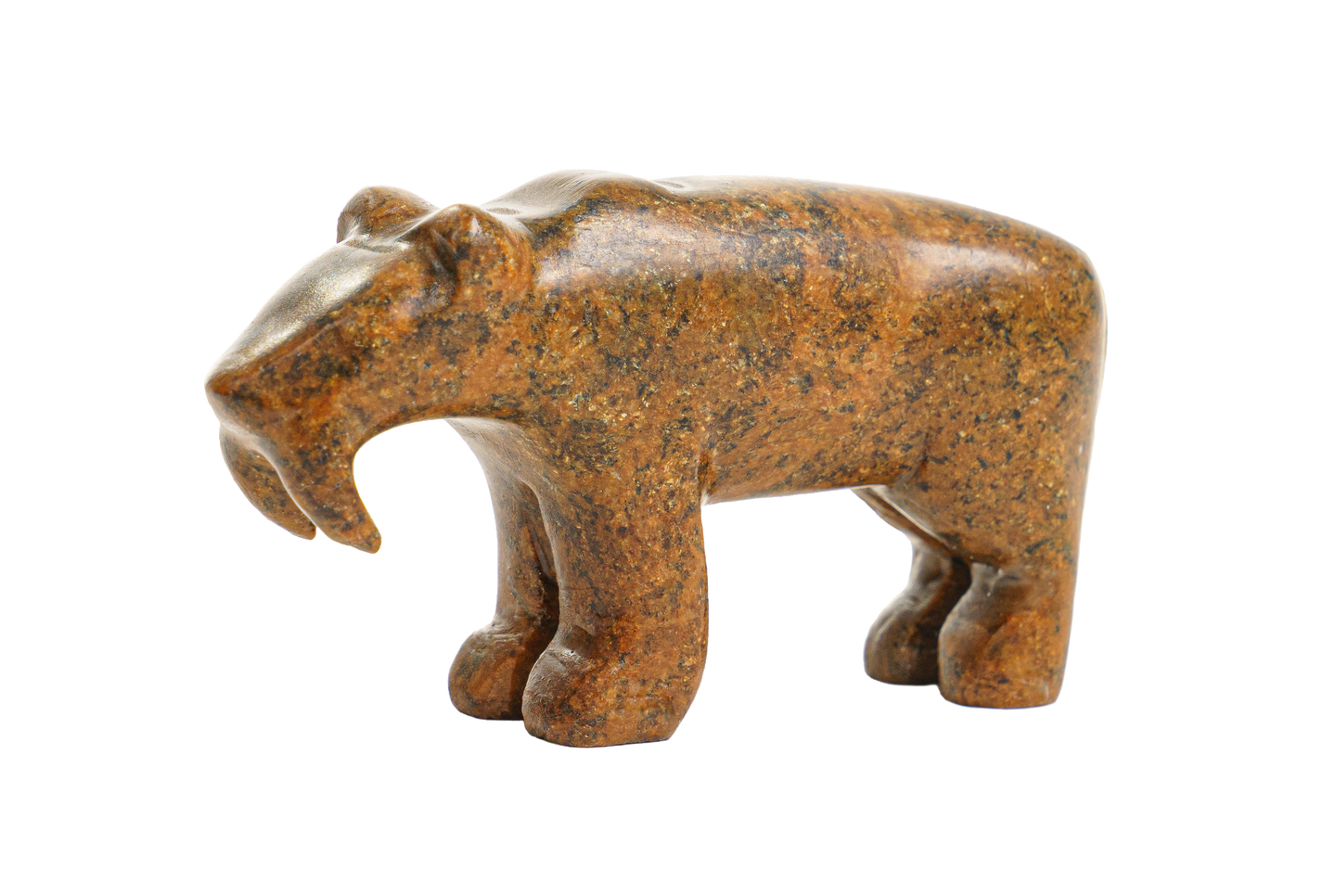 Saber-Tooth Soapstone Carving Kit