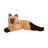 Sebastien The Himalayan Cat
