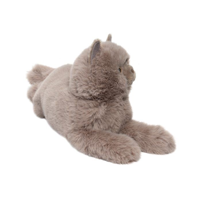 Juliette The Persian Cat
