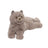 Juliette The Persian Cat