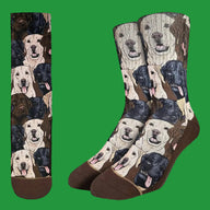 Men's Labrador Retrievers Socks