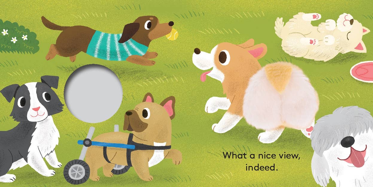 Bébé Corgi : Livre Marionnette à Doigt