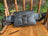 Leather Women Waist Pack Jax