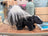 The Skunk