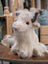 Yaketie Yak
