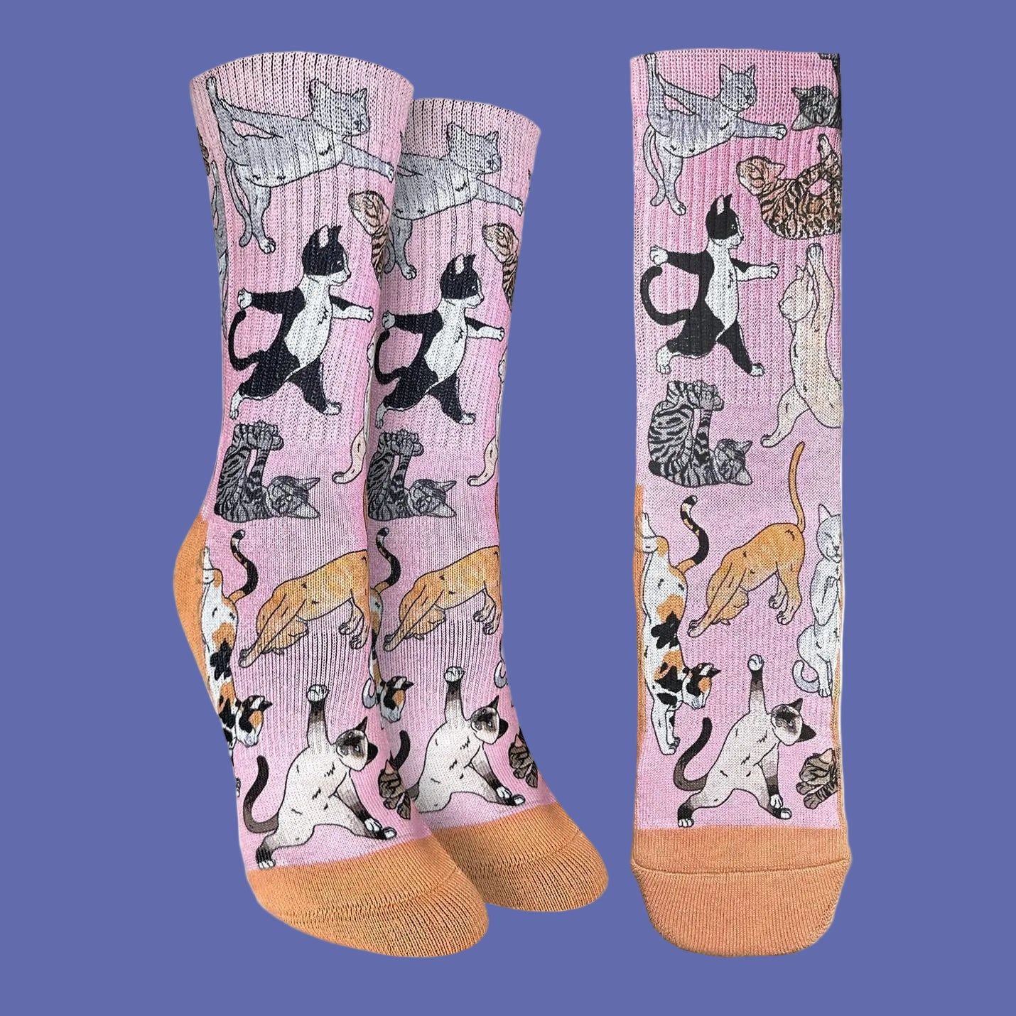 Pair of socks with cat illustrations on a pink background