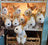 Adorable corgi plush toy with tan and white fur and black button eyes perfect for cuddling and decorating