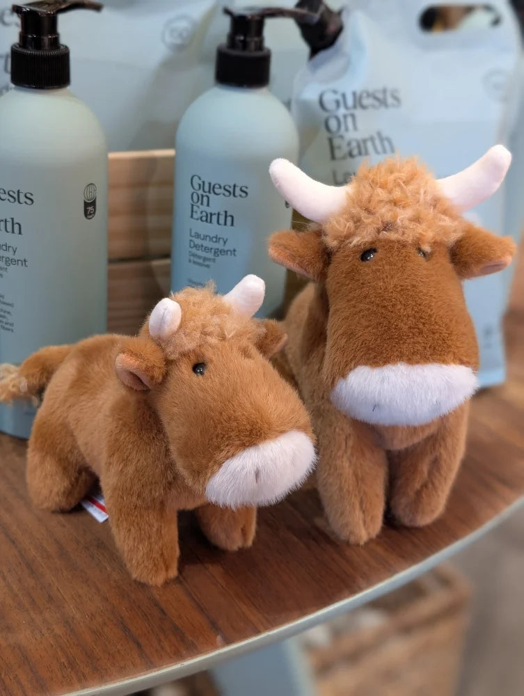 Adorable brown highland cow stuffed with white horns and fluffy white muzzle soft plush toy