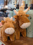 Adorable brown highland cow stuffed animals with white snouts horns and soft head fluff plush toys