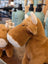 Adorable highland cow stuffed toy in tan with white muzzle and horns soft plush highland cow stuffed animal