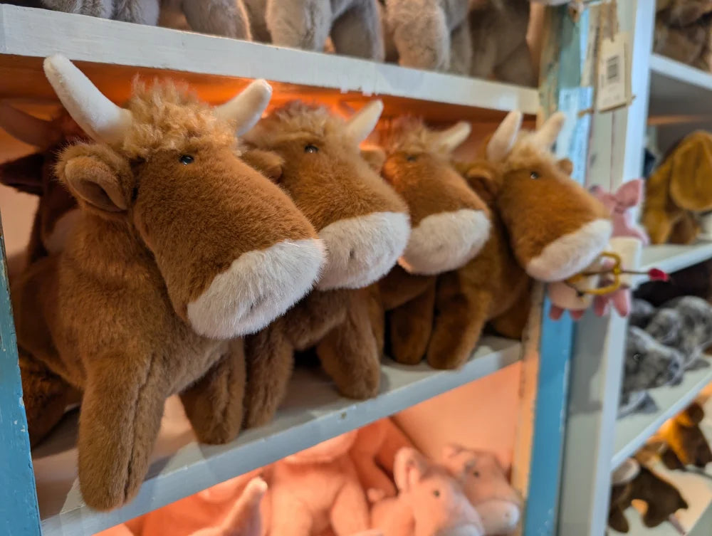 Adorable brown highland cow stuffed animals with white snouts and horns arranged on a shelf perfect for cuddling
