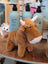Adorable plush brown highland cow stuffed toy with white horns white muzzle and head fluff on wooden surface