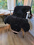 Adorable black bear rug shaped like a fluffy sheep chair cover made of soft merino sheepskin with wooden legs