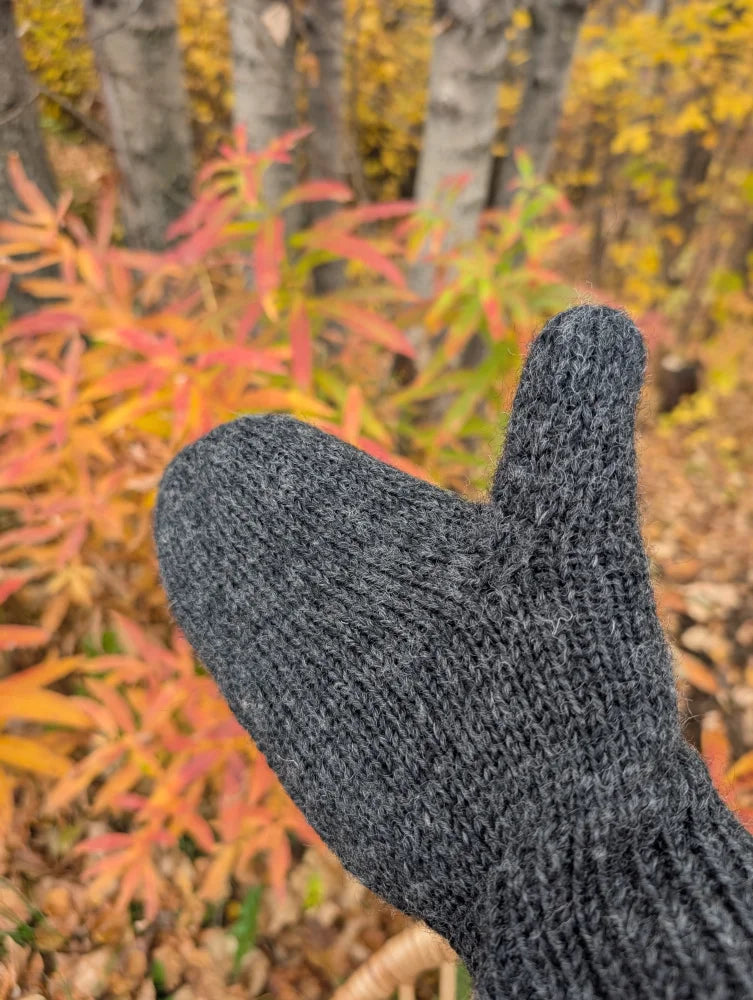 Azalea Mittens