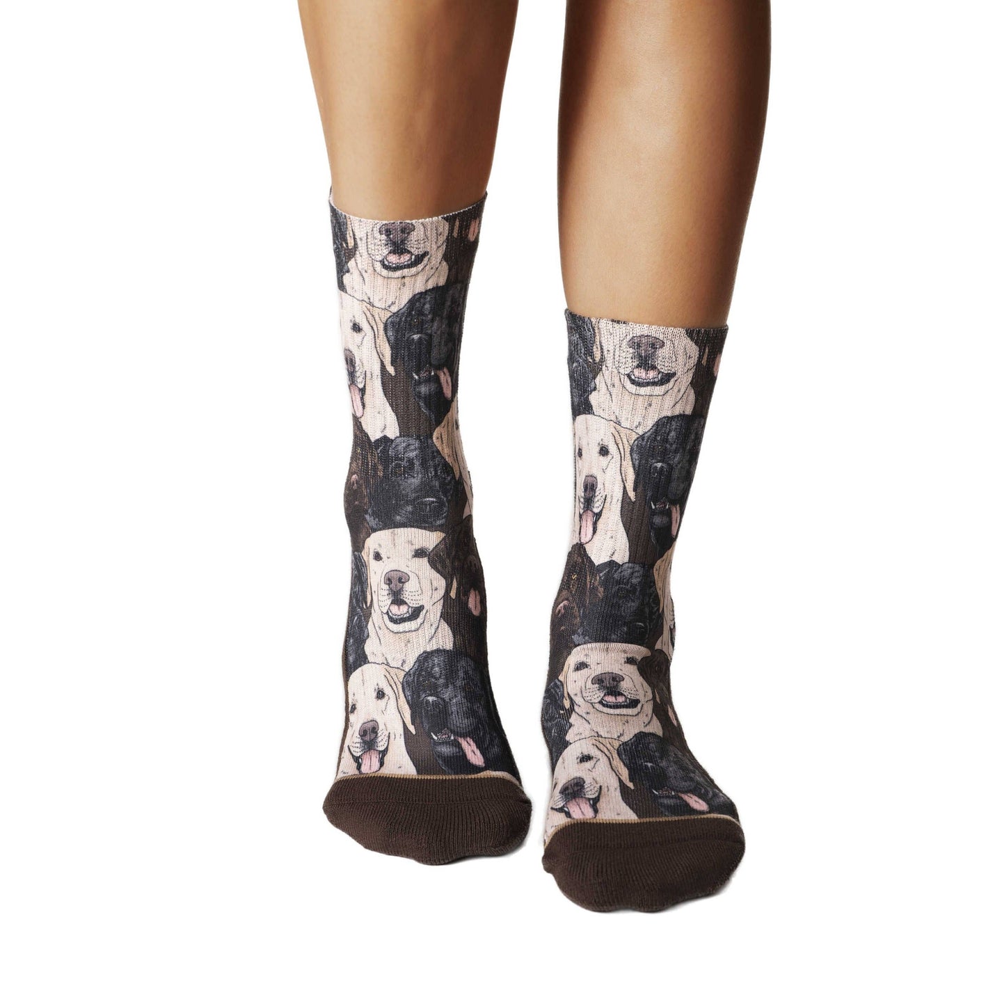 Women's Labrador Retrievers Socks