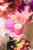 A pink bloom essential oil coconut soy candle with white wax and gold wick by angus oliver beside its branded box
