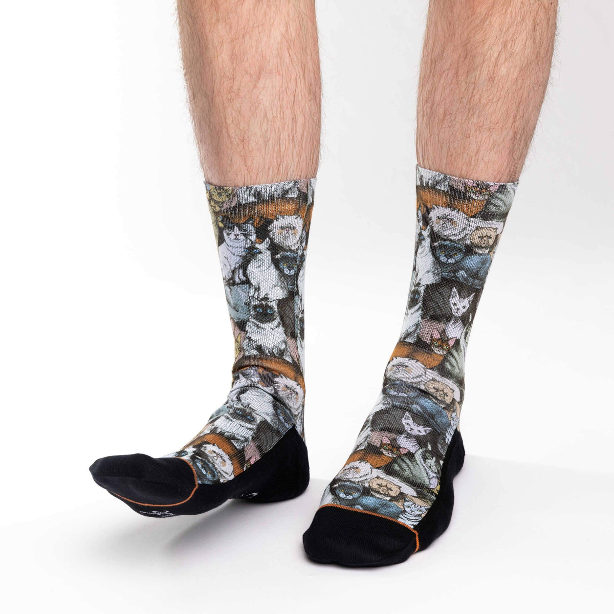 Men's Social Cats Socks