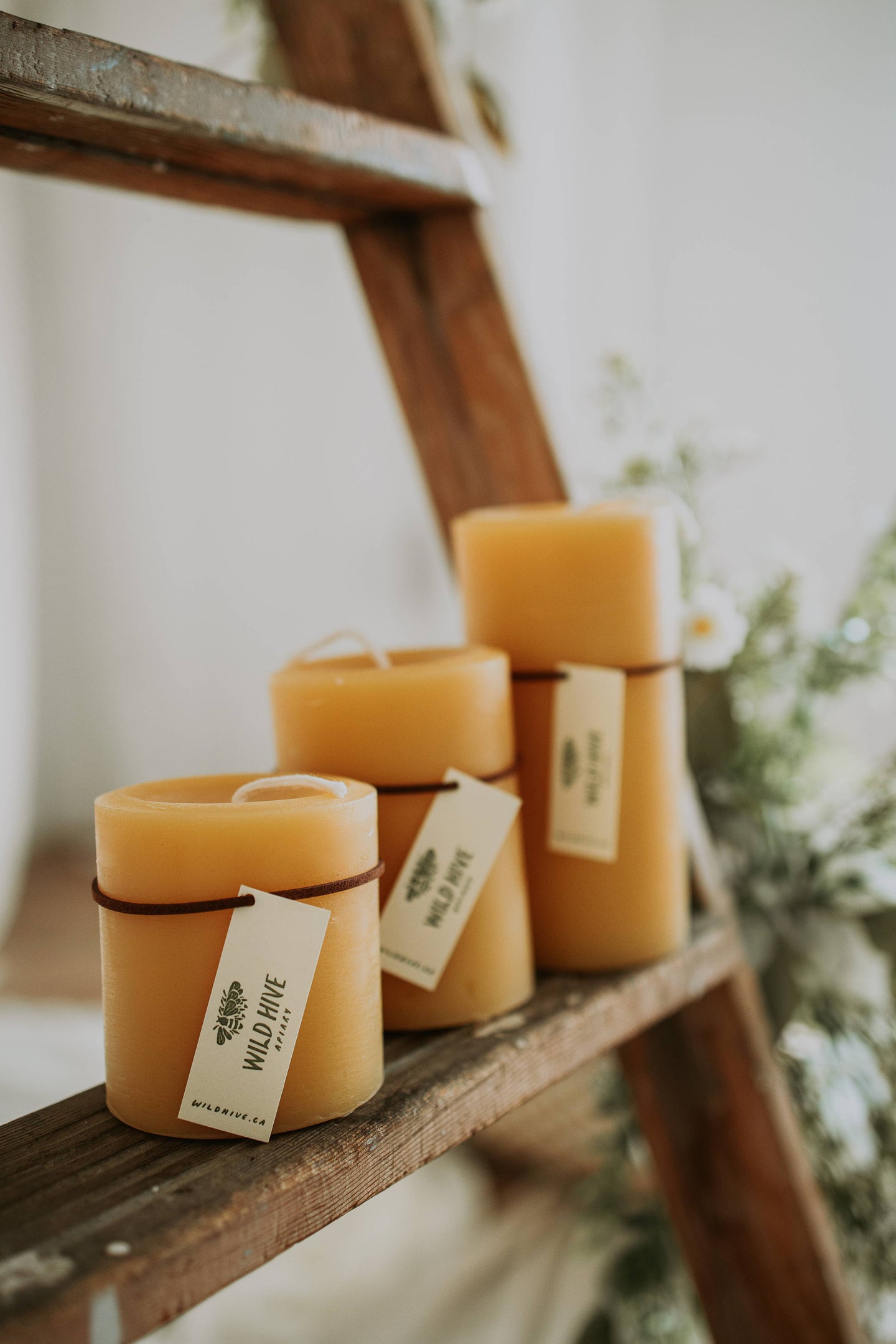 Beeswax Medium Round Candle