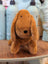 A plush tan dachshund toy with long floppy ears and black nose perfect for kids or dog lovers