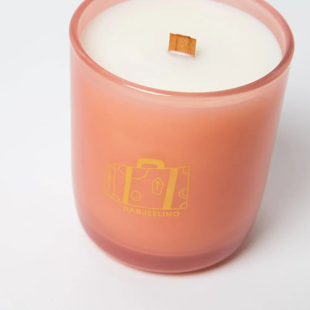 A peach-colored glass candle jar with white wax and wooden wick featuring an embossed gold suitcase design with coconut soy blend