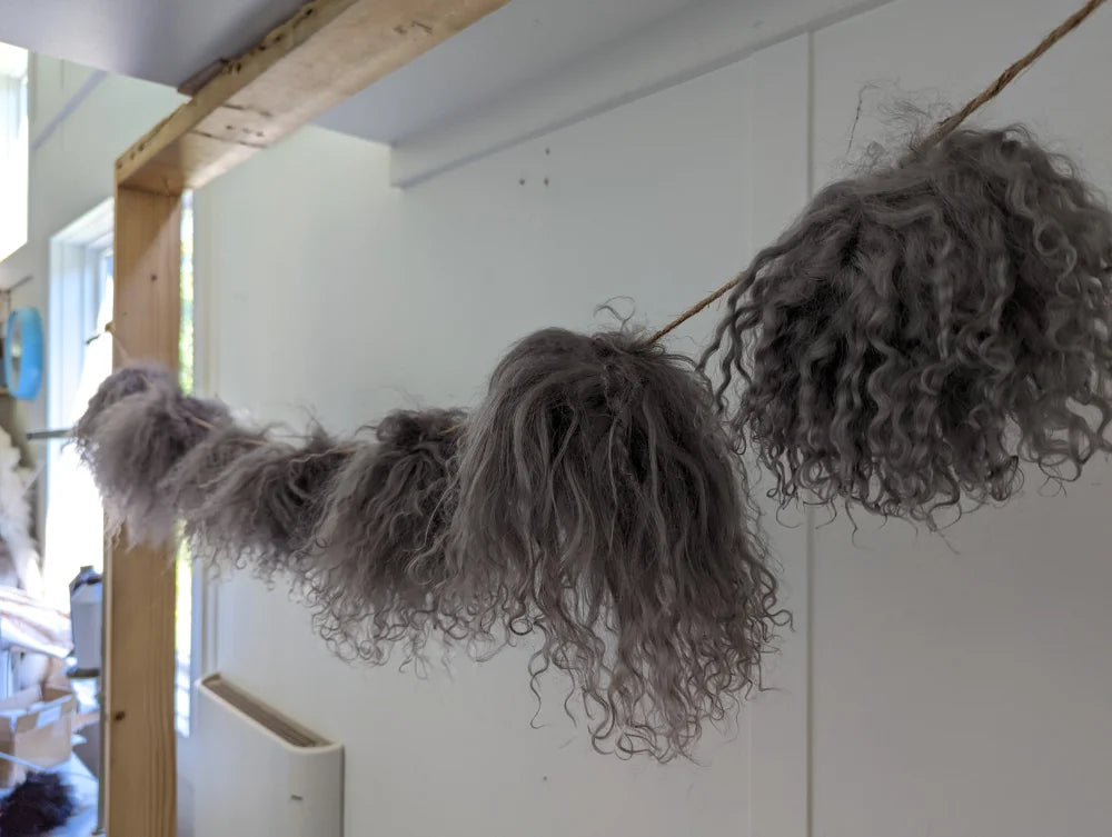 Dark mushroom sheepskin pom poms with gray curly hair garland on rope