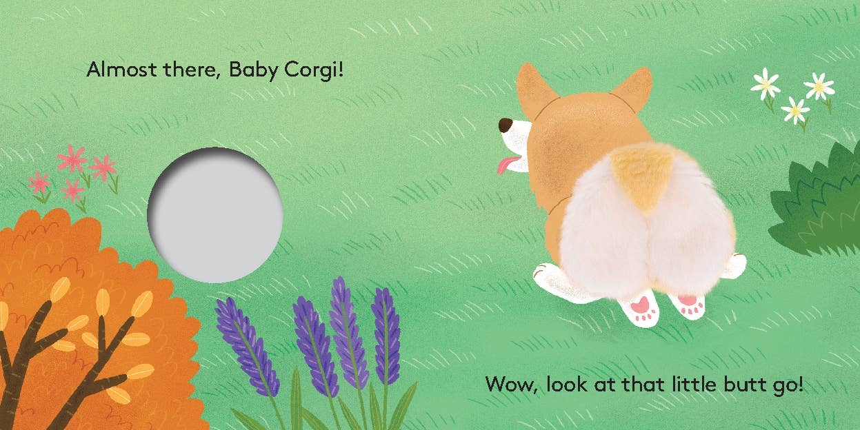 Bébé Corgi : Livre Marionnette à Doigt