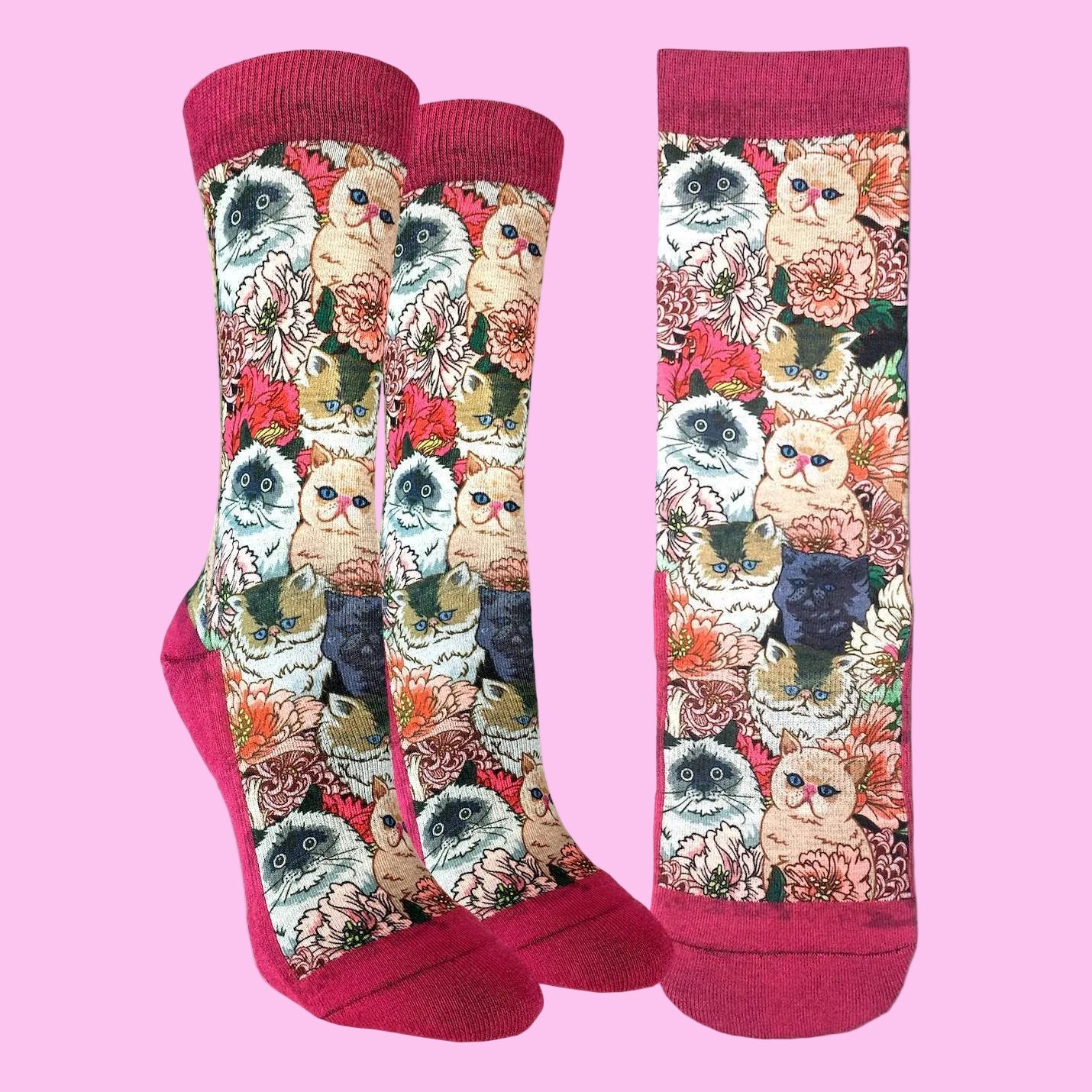 Colorful socks with cat and floral pattern on a white background