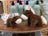 Brown plush horse toy jorge the pony with white mane and tail soft fabric large size perfect for kids