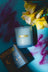 A light blue glass coconut soy candle jar with gold milkjar lettering beside its packaging on a teal surface