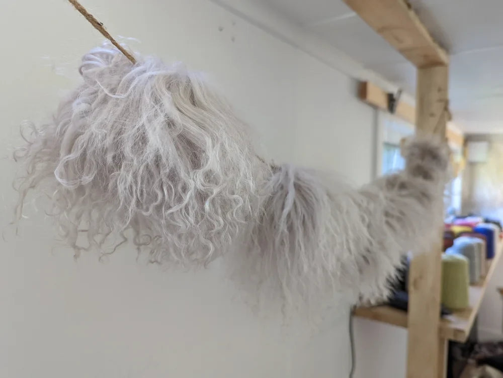 White curly yarn pom-pom from Mushroom Sheepskin Pom Poms