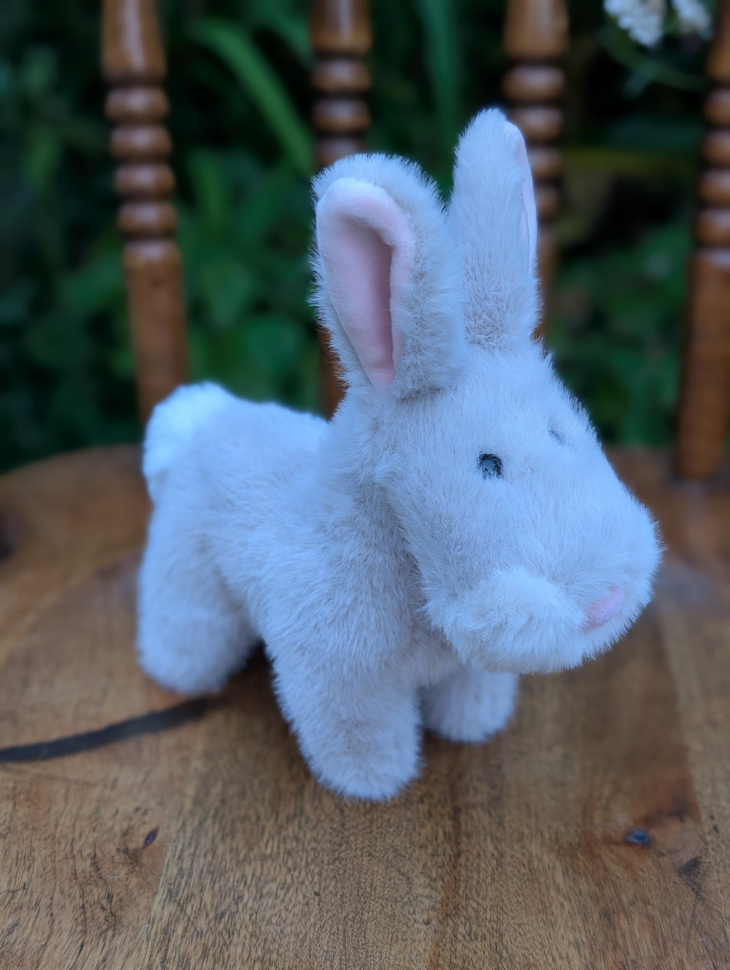 The bunny with the pink nose