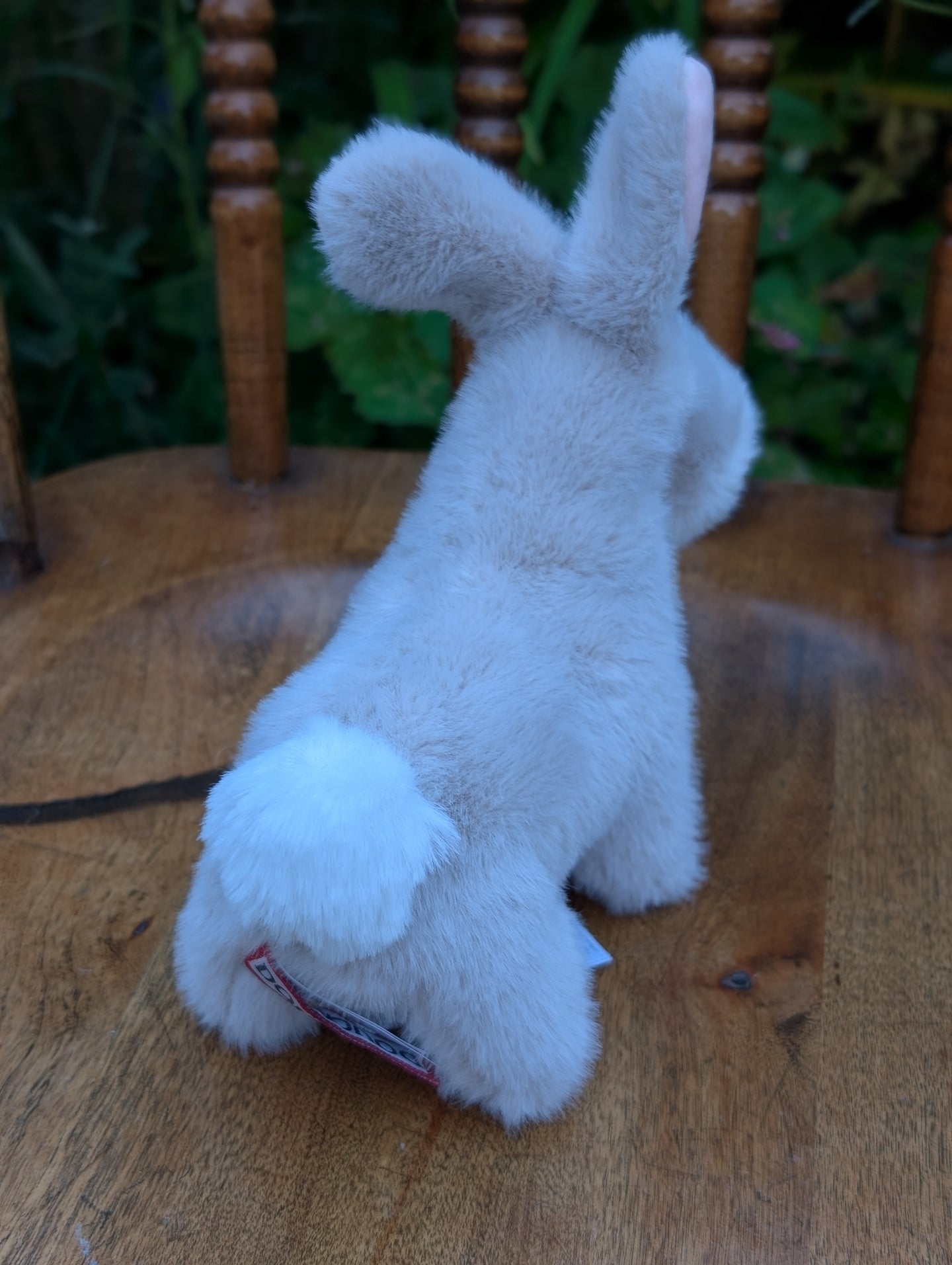 The bunny with the pink nose