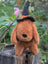 Halloweenie Dachshund Soft Toy