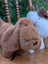 Dachshund small