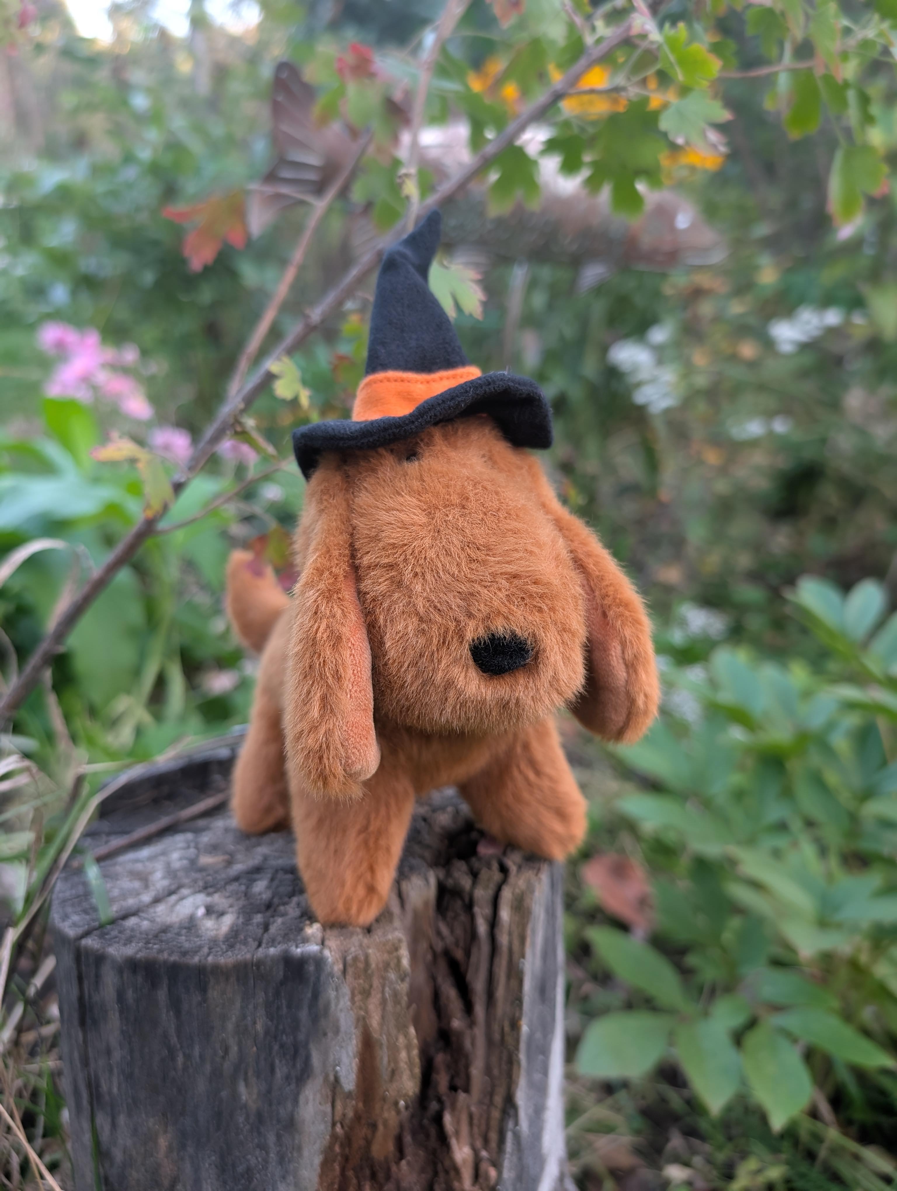 Halloweenie Dachshund Soft Toy