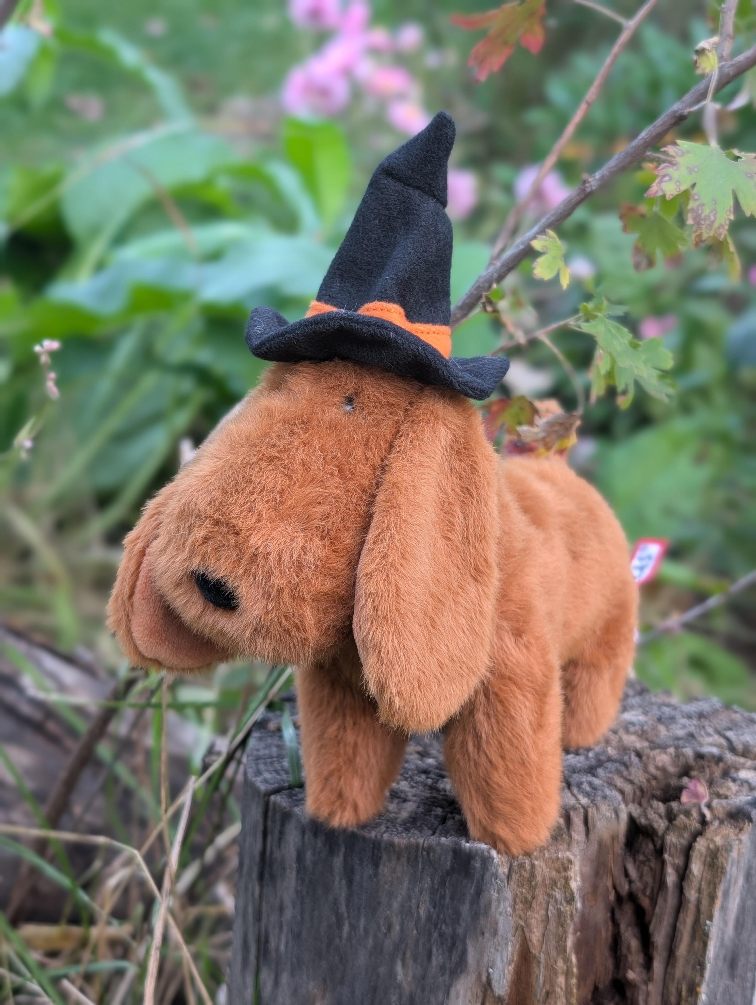 Halloweenie Dachshund Soft Toy