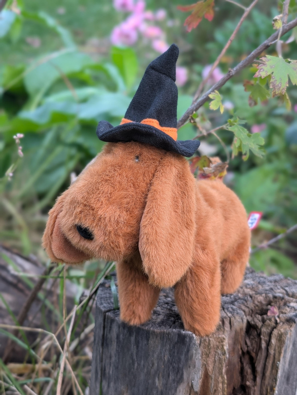 Halloweenie Dachshund Soft Toy