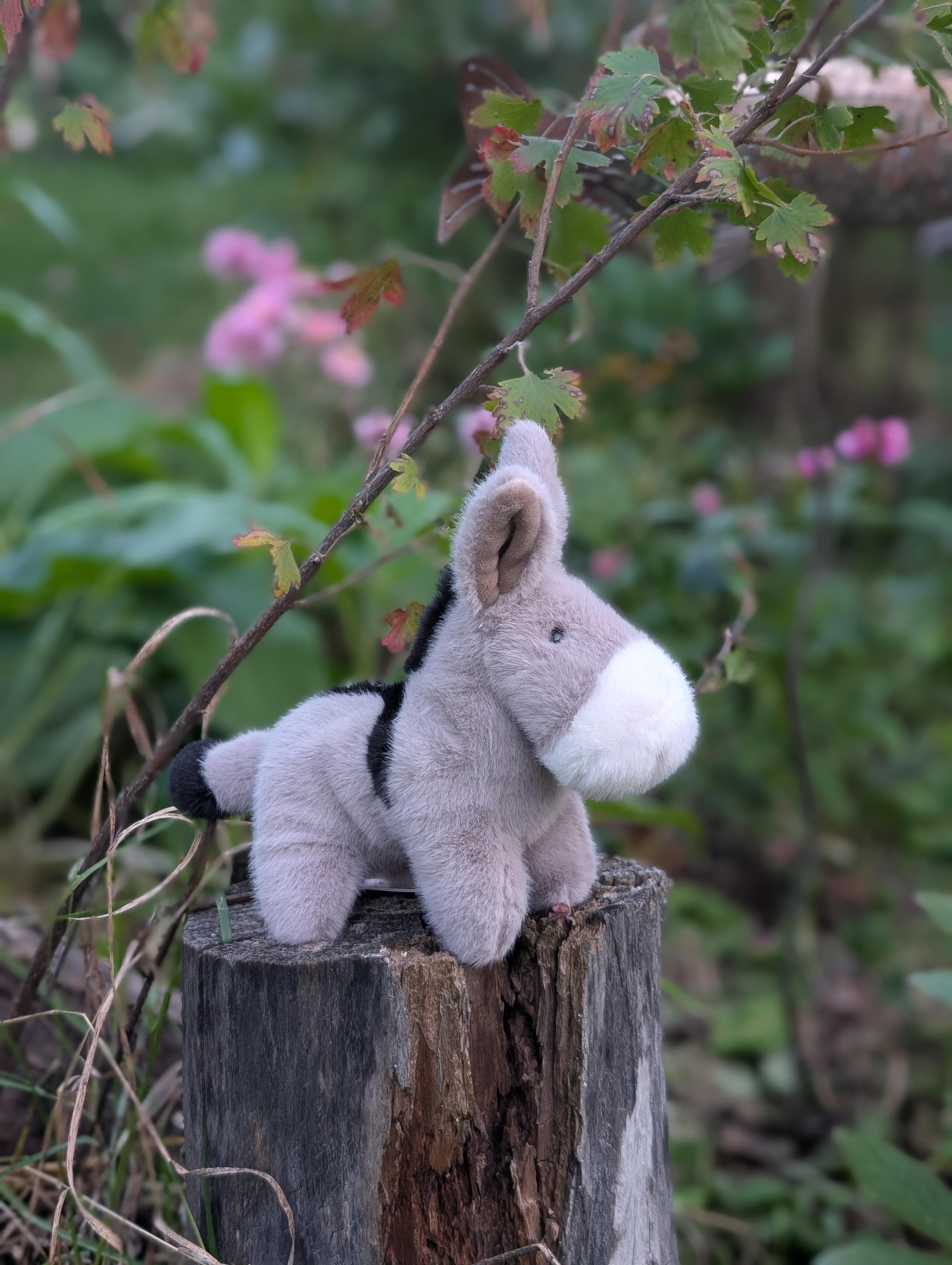 A plush gray and black cow toy called the donkey with a soft fuzzy texture perfect for cuddling