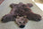 Adorable Merino Sheepskin Grizzly Bear Rug (mid October)