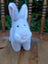 The bunny with the pink nose
