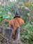 Halloweenie Dachshund Soft Toy
