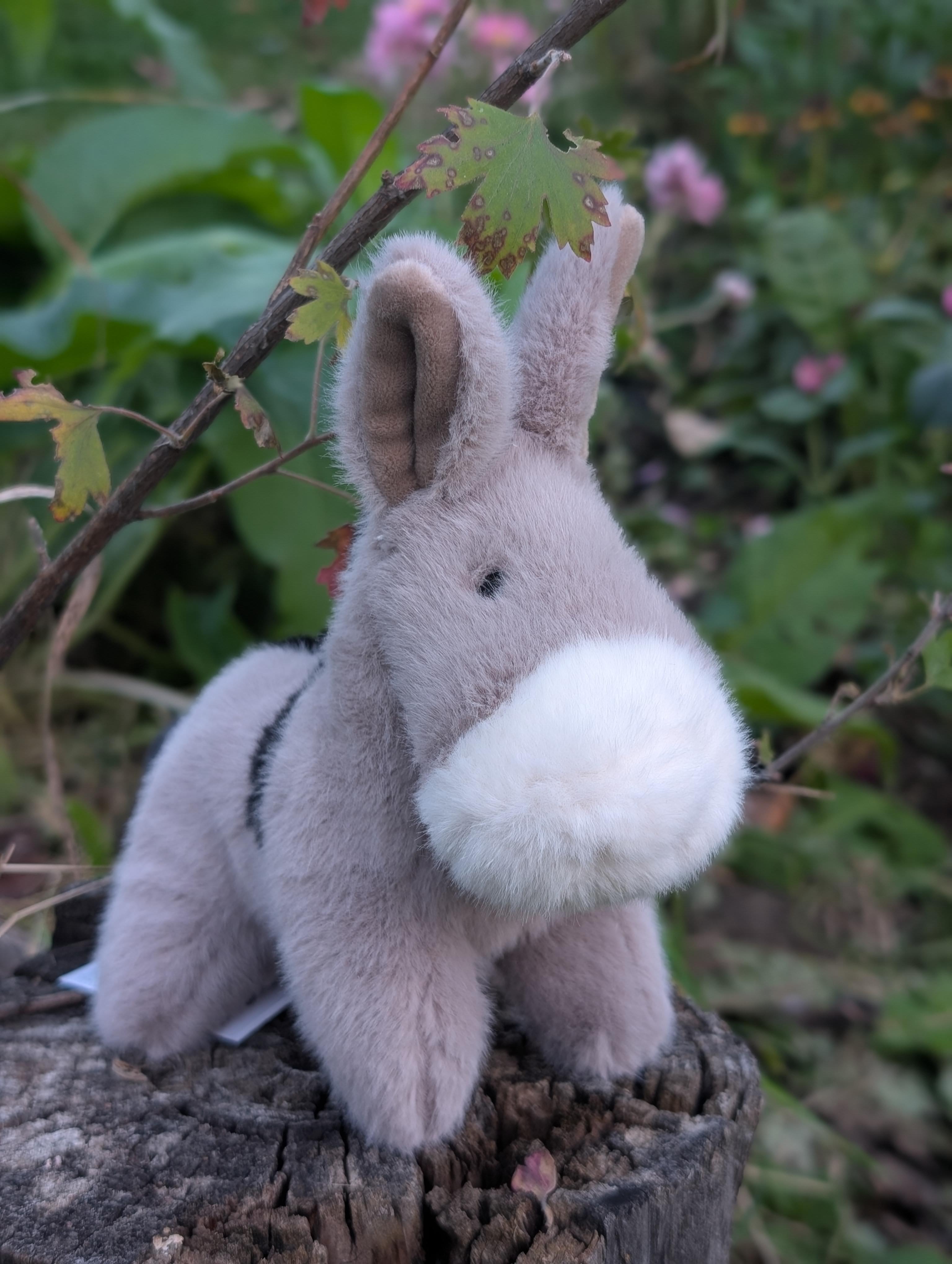 Donna The Donkey Soft Toy