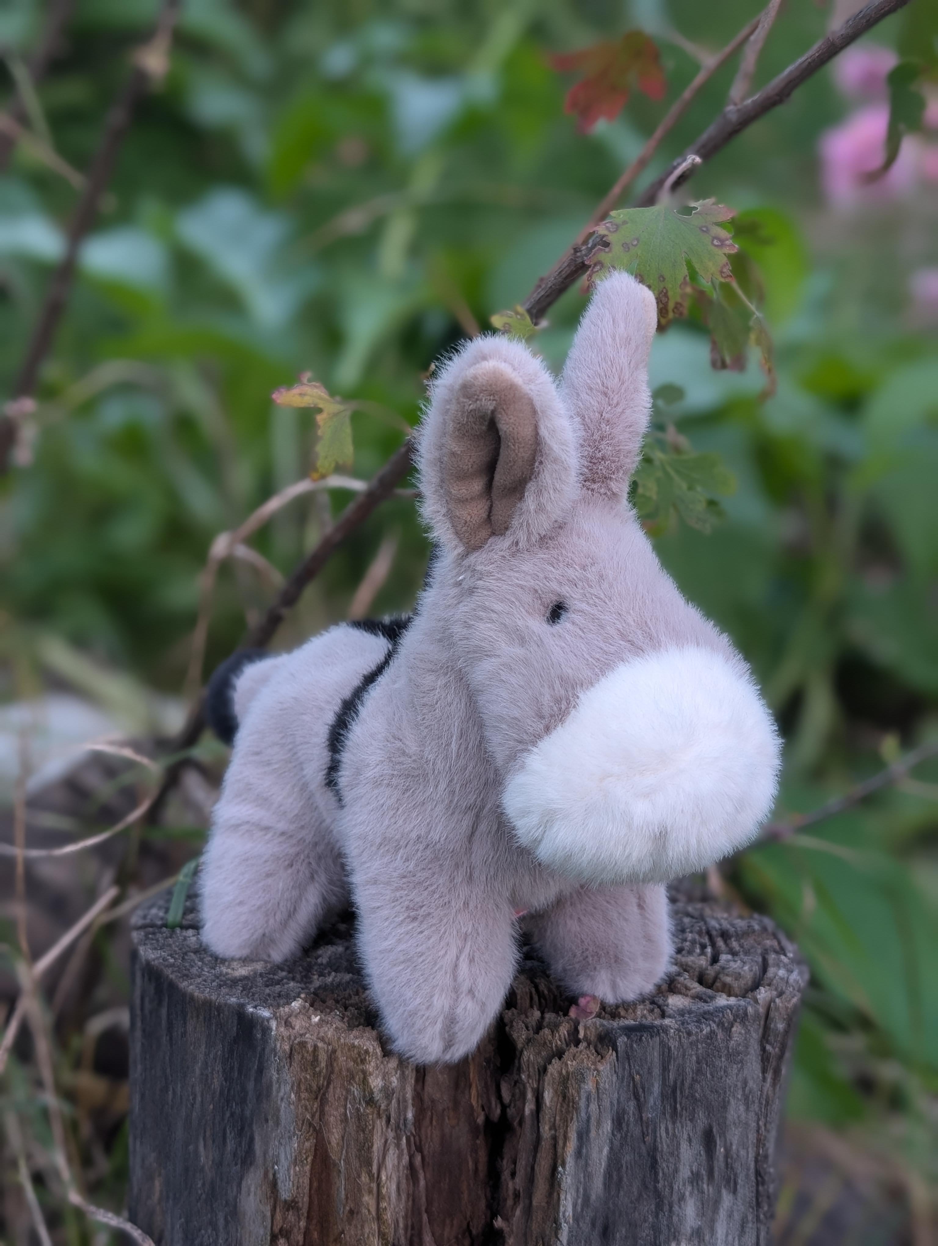 A plush gray and black cow toy called the donkey with a soft fuzzy texture perfect for cuddling