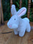 The bunny with the pink nose
