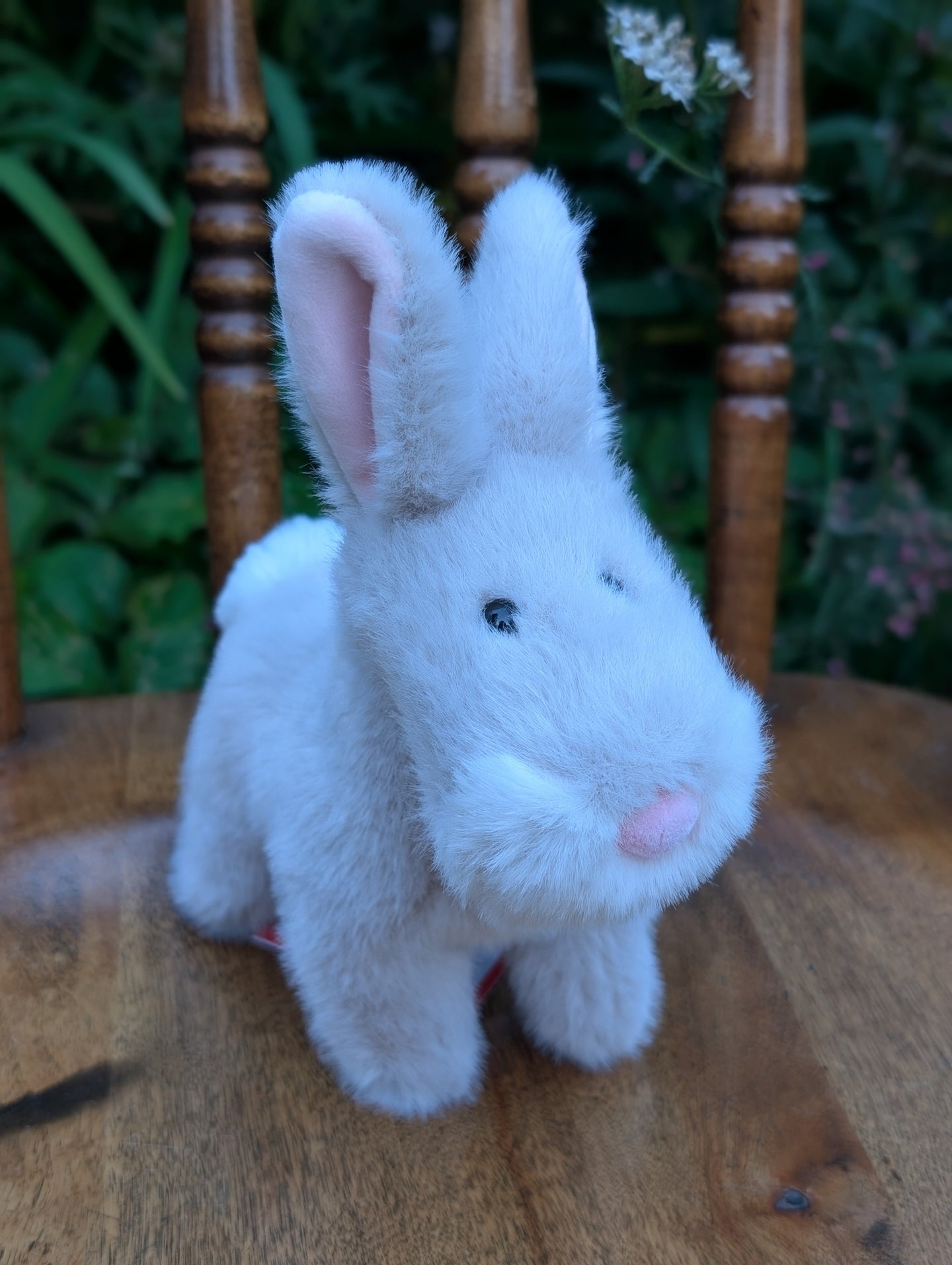 The bunny with the pink nose